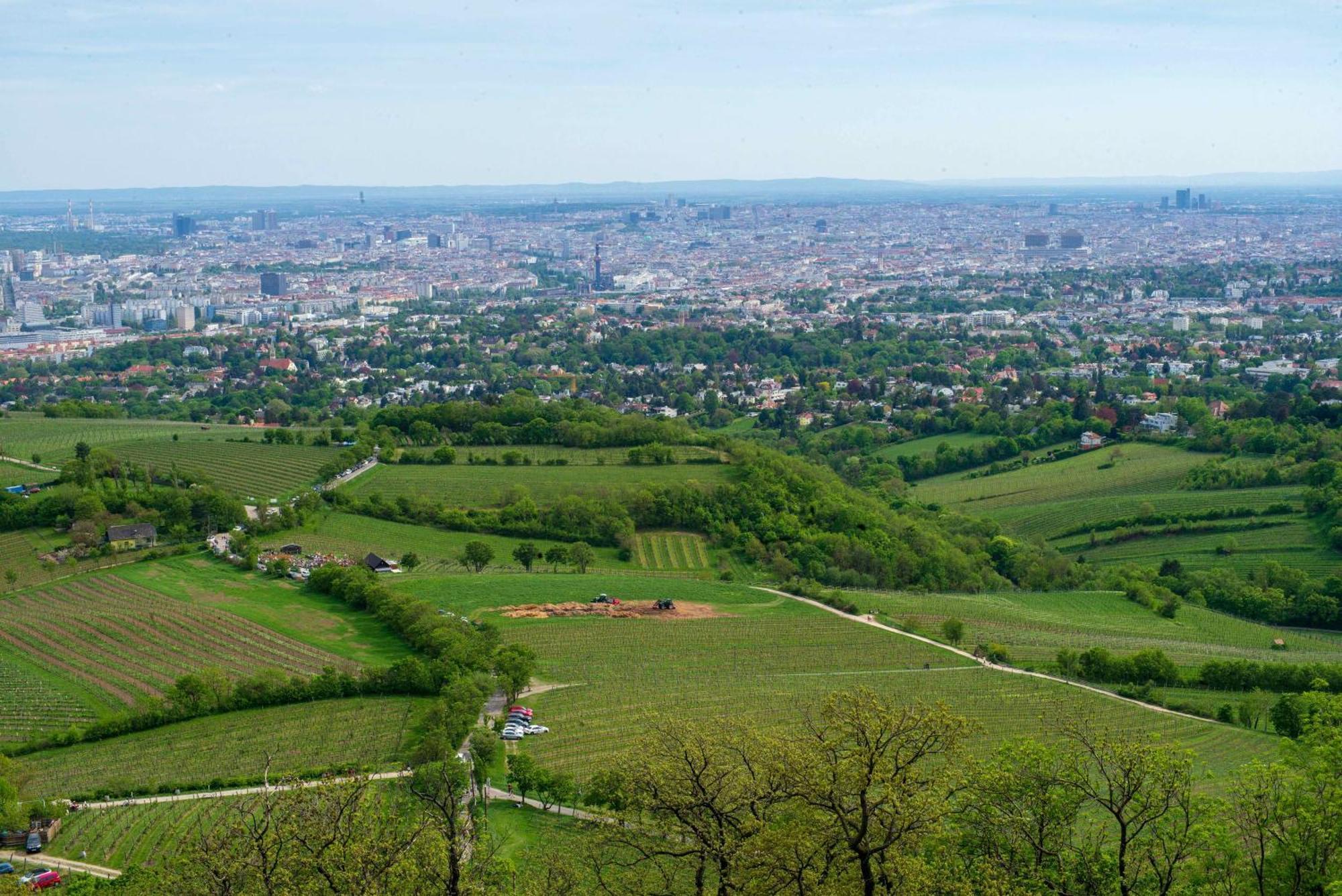 Herrlicher Ausblick Ueber Wien Exterior foto
